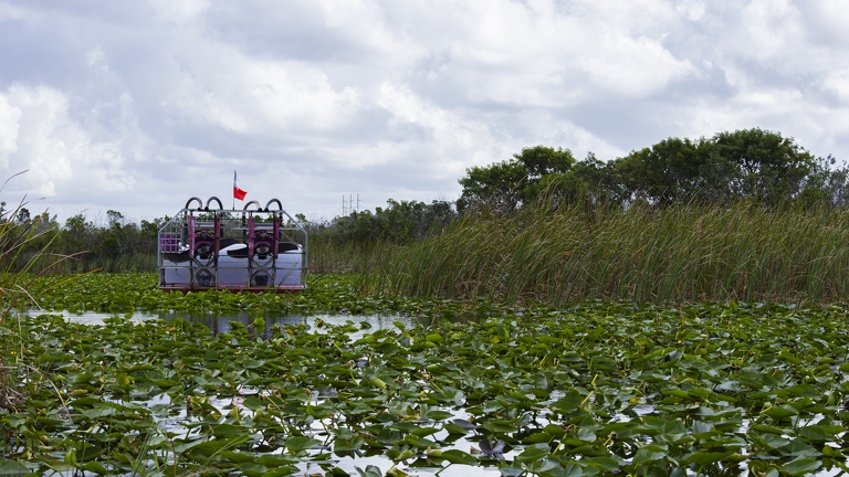 383A9610-Enhanced-NR