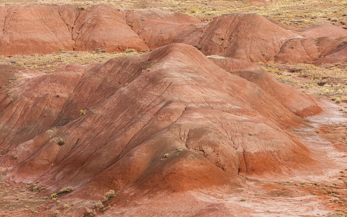 383A2159-Enhanced-NR