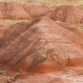 383A2159-Enhanced-NR.jpg