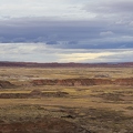 383A2182-Enhanced-NR.jpg