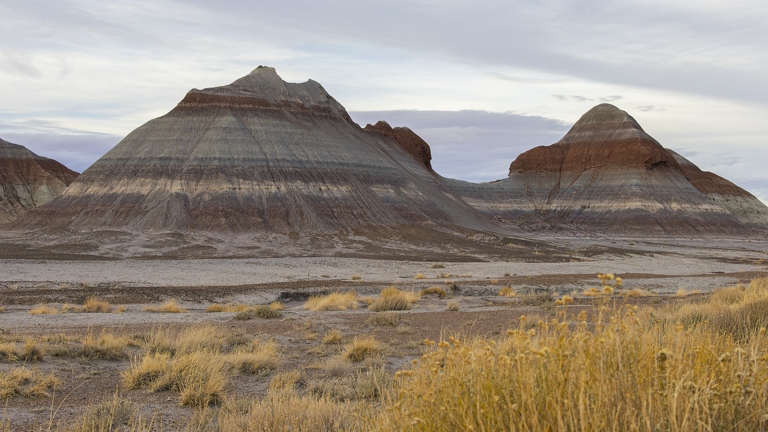 383A2399-Enhanced-NR