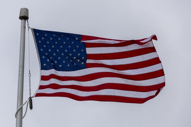 383A2445-Enhanced-NR