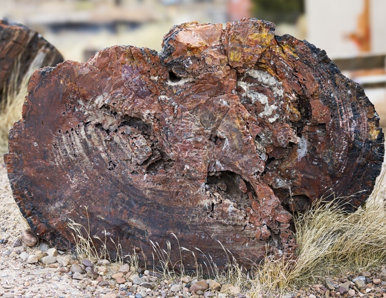 383A2449-Enhanced-NR