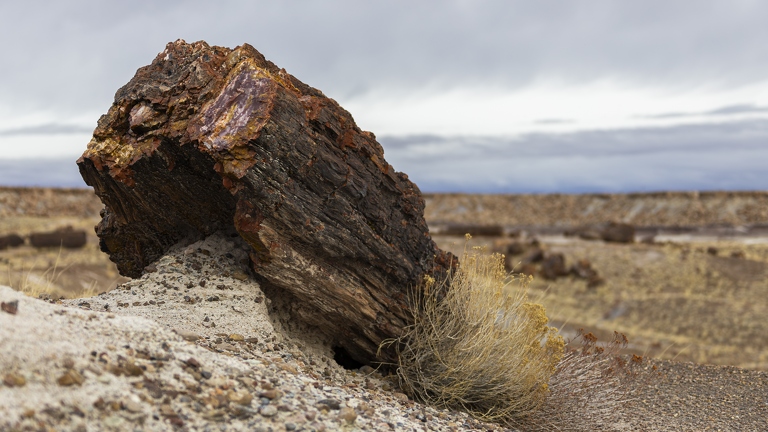 383A2461-Enhanced-NR