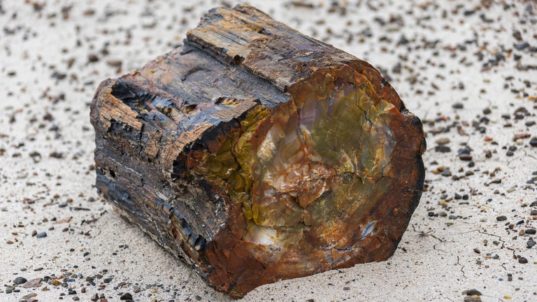 383A2527-Enhanced-NR