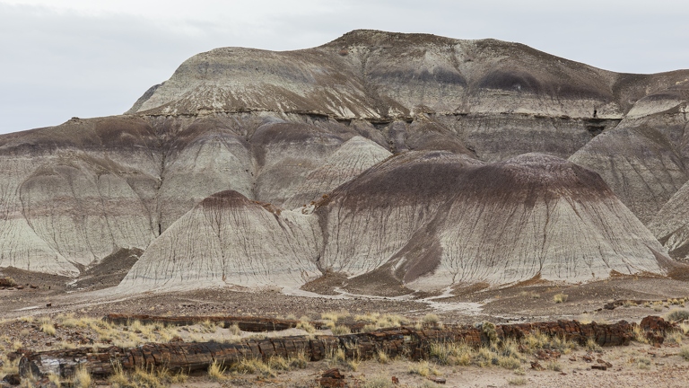 383A2546-Enhanced-NR