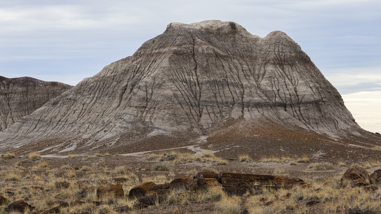 383A2554-Enhanced-NR