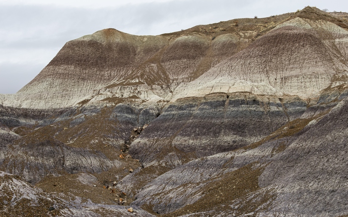 383A2775-Enhanced-NR