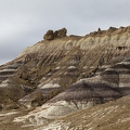 383A2811-Enhanced-NR.jpg
