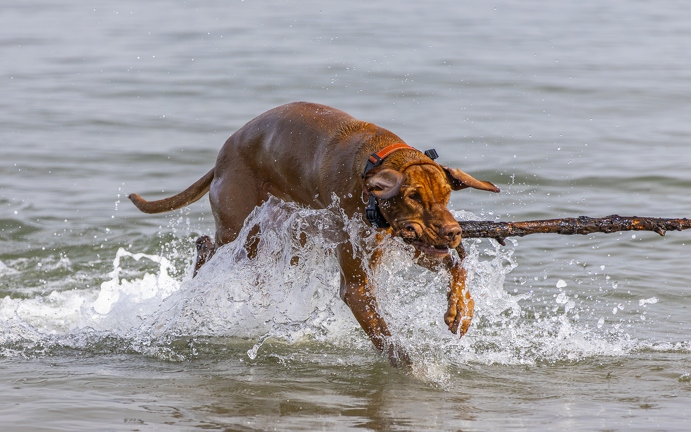 383A3019-Enhanced-NR