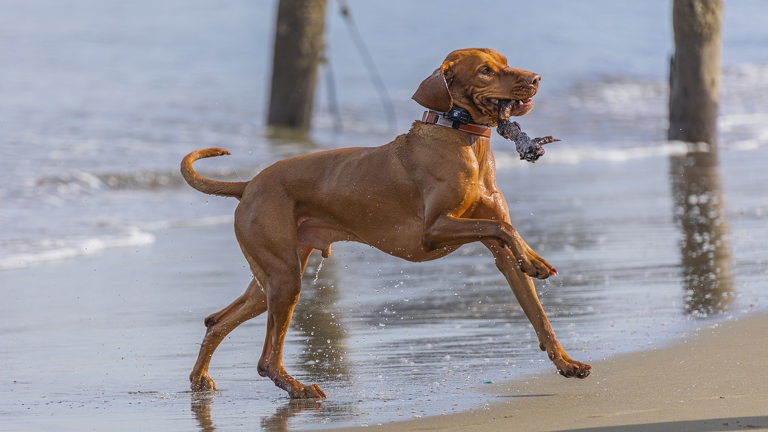 383A3032-Enhanced-NR