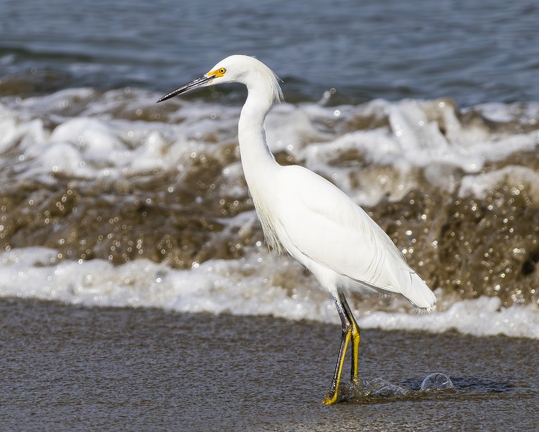 383A3062-Enhanced-NR