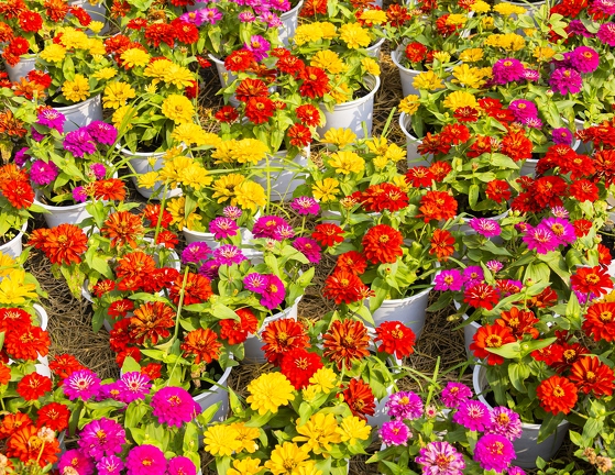 383A3331-Enhanced-NR