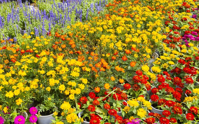 383A3333-Enhanced-NR