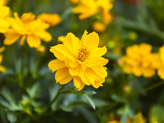 383A3358-Enhanced-NR