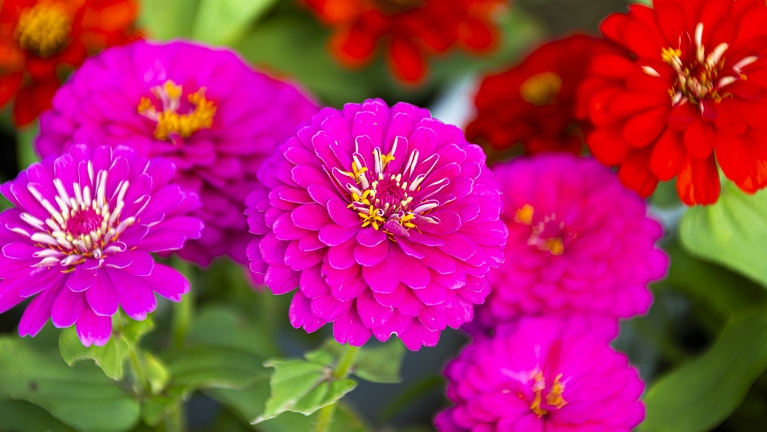 383A3362-Enhanced-NR