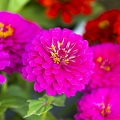 383A3362-Enhanced-NR.jpg