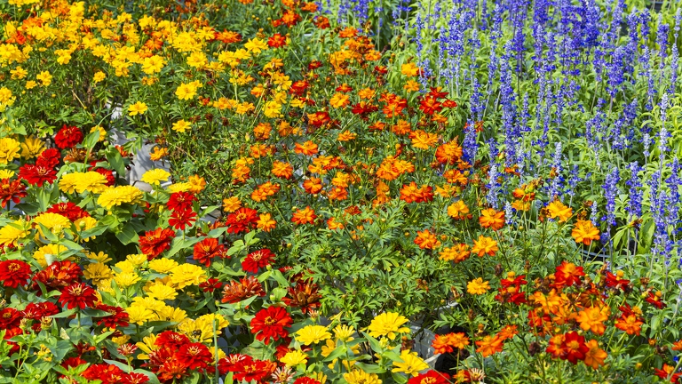 383A3367-Enhanced-NR