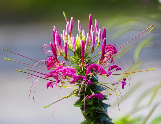 383A3374-Enhanced-NR