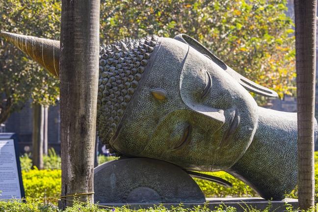 383A3517-Enhanced-NR