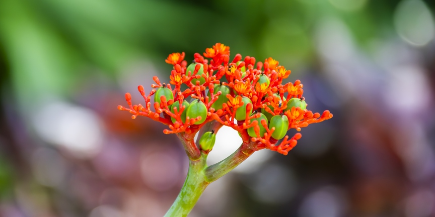 383A3617-Enhanced-NR