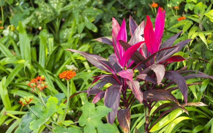 383A3618-Enhanced-NR