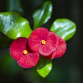 383A7047-Enhanced-NR.jpg