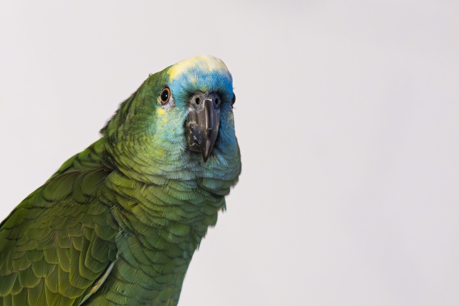 383A7915-Enhanced-NR