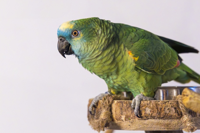 383A7927-Enhanced-NR