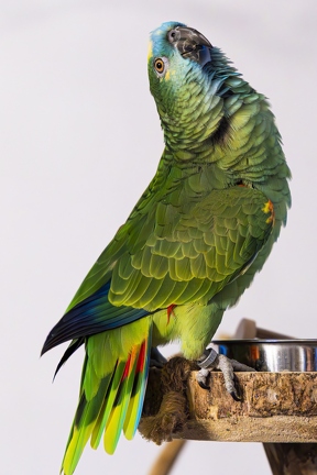 383A7938-Enhanced-NR