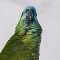 383A7939-Enhanced-NR.jpg