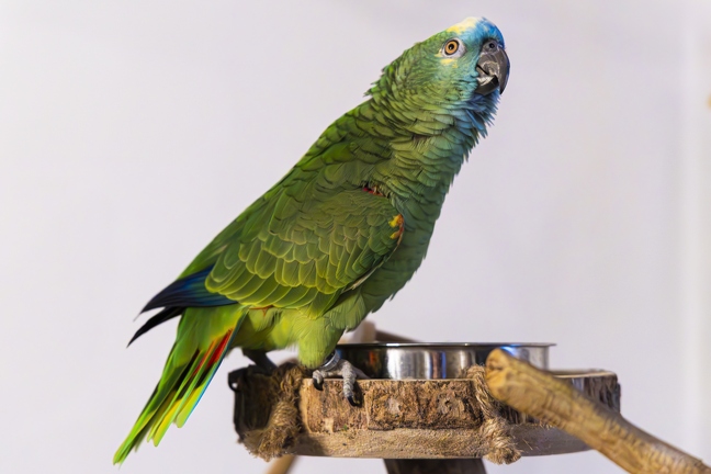 383A7941-Enhanced-NR