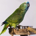 383A7941-Enhanced-NR.jpg