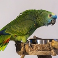 383A7944-Enhanced-NR.jpg