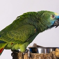 383A7945-Enhanced-NR.jpg