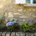 383A2694.jpg