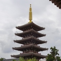 383A2638.jpg