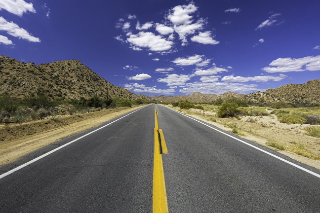 Joshua Tree | US National Park | AUG2025