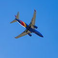 383A1464.jpg