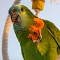 383A8122-Alyx.jpg