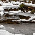 383A6501.jpg