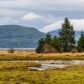 383A7750.jpg